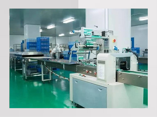 嘉善食品廠(chǎng)凈化車(chē)間裝修效果圖