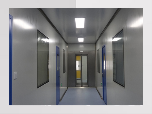 上海松江新橋鎮食品廠(chǎng)無(wú)塵凈化車(chē)間裝修工程